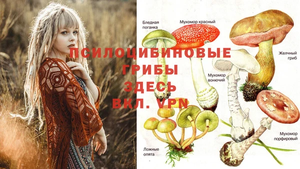 таблы Алексин